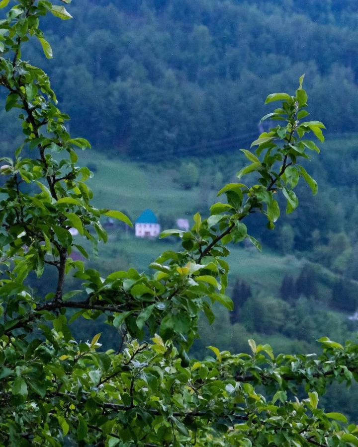 Fern Farm Eco Resort Mojkovac Exteriör bild